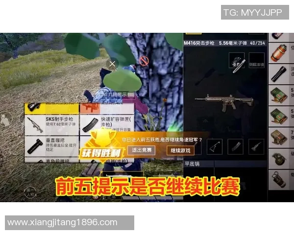 和平精英焦点：深入分析BLG战队的心理素质与比赛表现的关系