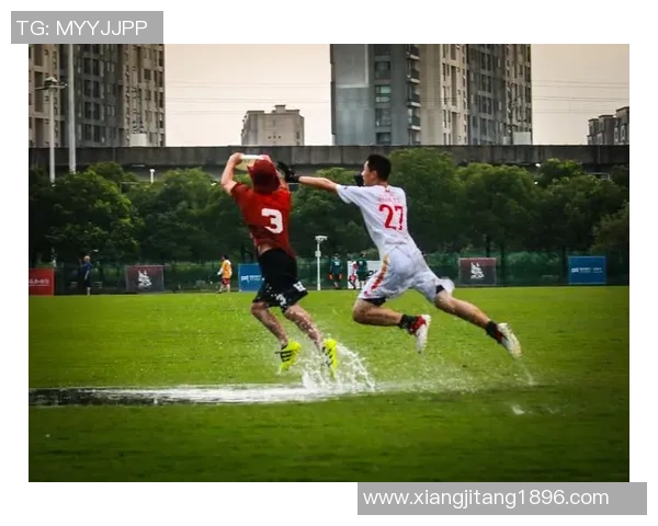 南京飞盘队的力量与激情探索飞盘运动的魅力与团队精神