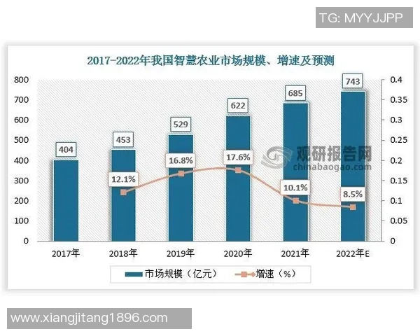 南京极限运动队的节奏探讨与发展趋势分析