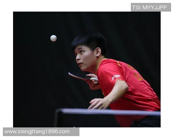 专访乒乓球教练吴强探索成功背后的秘诀与心路历程