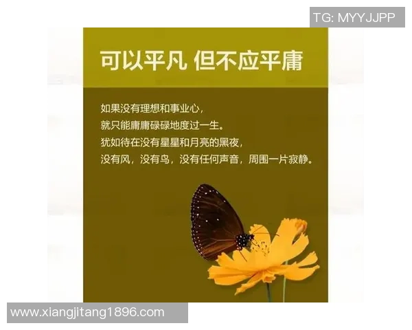 极限运动的成功秘诀吴芳分享她的心路历程与挑战经历