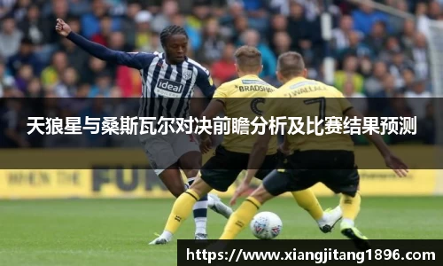 天狼星与桑斯瓦尔对决前瞻分析及比赛结果预测